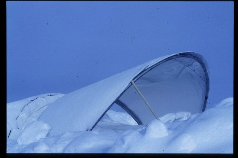 Illustration for article titled Chilean Antarctic Habitat Makes Living at the Bottom of the Earth Downright Homey